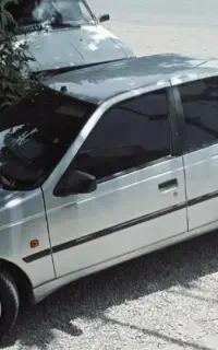 ۴۰۵مدل ۹۶دوگانه شرکت