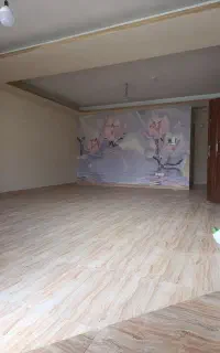 من خانم هستم متاهل دنبال کارم نطافت