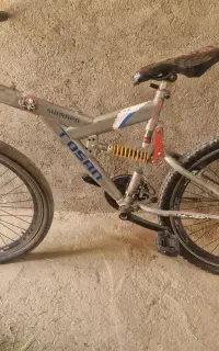 دوچرخه