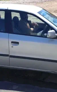 سمند نقره ای