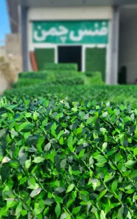 فنس چمنی