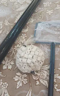 وسایل آکواریوم و ماهی