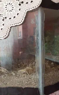 اکواریوم