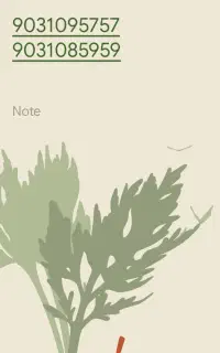 9031095757 9031085959