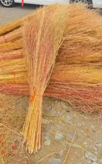 جارو قرمز