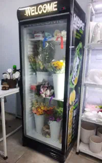 یخچال تک درب