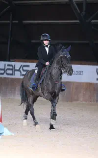 دنیای جادویی سوارکاری