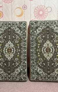 یک جفت پشتی در حدنو
