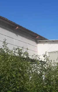 استخدام نیرو در کارخانه جوجه کشی