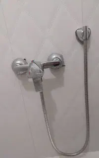 شیر توالت سالم