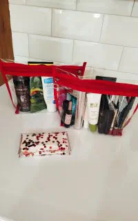 نظم دهنده طلقی