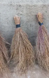 جارو محلی