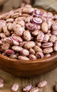 لوبیا چیتی محلی