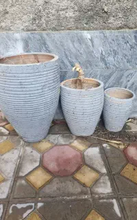 فروش ۳ عدد گلدان گل