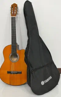 گیتار کینگ