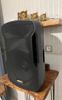 باند اکتیو ۱۲ اینچ