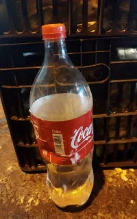 بطری