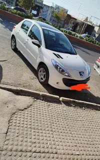 207 مدل 1400 پانا