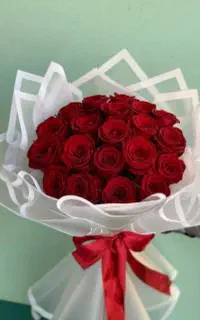 گل روبانی