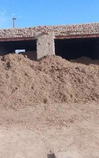 کاه نیشکر یا باگاس با ملاس بالابه صورت فله