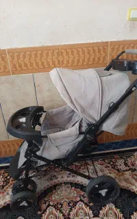 کالسکه خوشرنگ سالم فوری