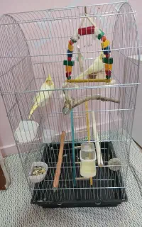 قفس پرنده بزرگ