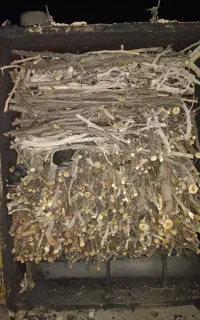 استخدام نیروی کار