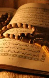 ذکر گر