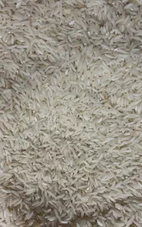 برنج هاشمی