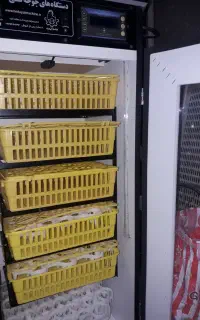 دستگاه جوجه کشی 210 تایی هدایت