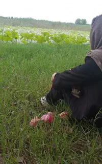 تور لحظه آخری ۱۶ مهر به مازندران ، بابلسر ، جویبار