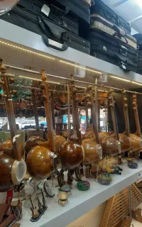 انواع کمانچه و سنتور