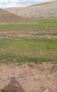 فروش زمین ۱۰ هزار متری کشاورزی