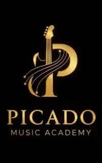 آموزشگاه موسیقی پیکادو