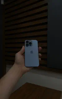13 pro