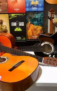 آموزش گیتار آموزشگاه/شخصی تدریس تخصصی گیتار