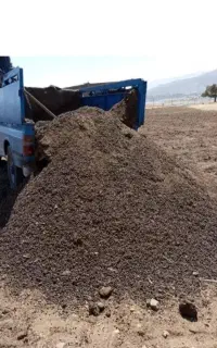 کود حیوانی