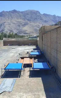 باسکول مناسب باغ پرتقال