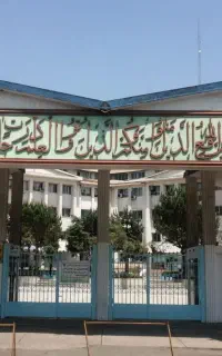 ارائه دیپلم تا دکتری