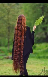 خریدار اصلی موهای خام و رنگی بدون واسطه