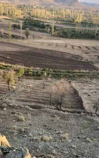 فروش زمین کشاورزی درپاکمر