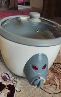 دو عدد پلوپز کاملا سالم