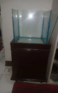 آکواریوم کوچک