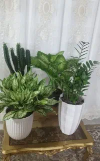 همه مدل گل
