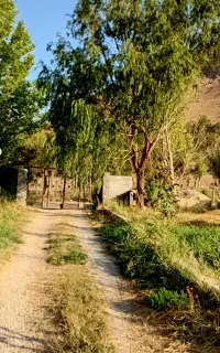 باغ ویلا با استخر پرورش ماهی وسرایداری۴۴۰۰مترتکبرگ