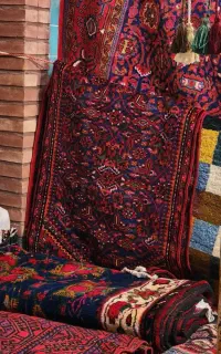 قالیشویی ومبل شویی تمام اتوماتیک نور