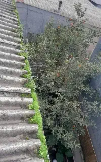 چکه گیری و نصب پرسینا و نصب حلب سایه روشن وناودانی