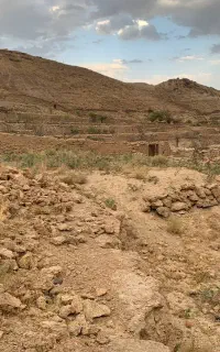 زمین زراعی 643متر