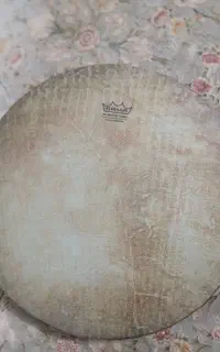 دف رمو
