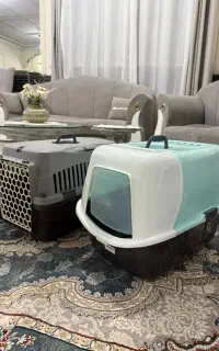 باکس گربه